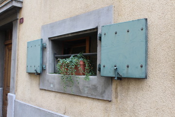 window with flowers