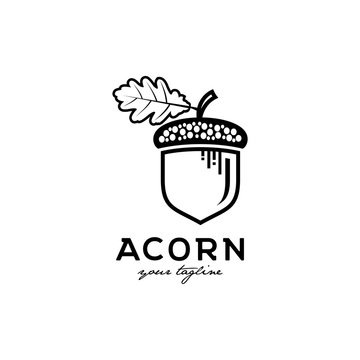 acorn with leaf vector logo design