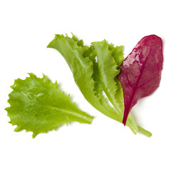 Different salad leaves handful isolated on white background. Top view, flat lay.