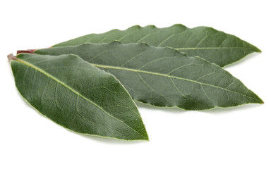 Obraz premium Aromatic bay leaves