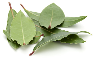 Aromatic bay leaves