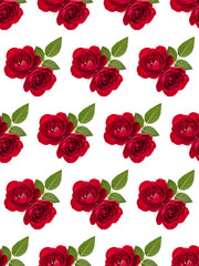 Fototapeta premium two red rose flowers isolated with leaves on white background cutout. Floral seamless pattern.