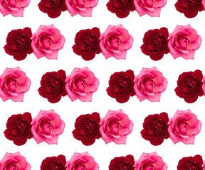 two red and pink rose flowers isolated on white background cutout. Floral seamless pattern.