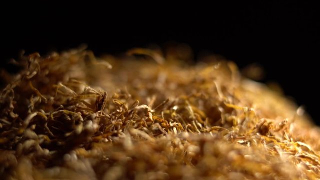 A pile of hand rolling Tobacco in rotation. Selective focus.Tobacco extreme close up, macro  4k footage. 