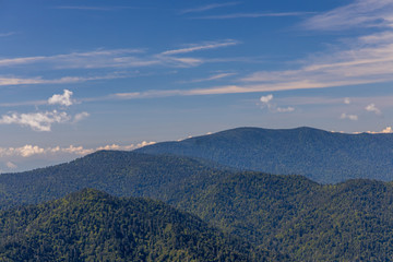 Great Smoky Mountains National Park, Tennessee, USA