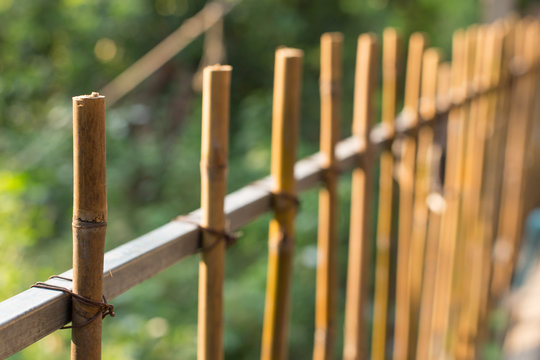 Selective focus of Bamboo fence on  natural blurred background
