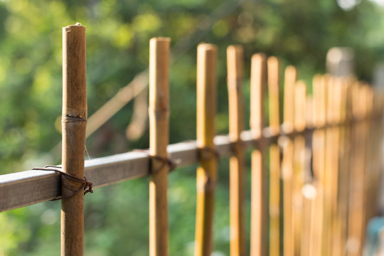 Selective focus of Bamboo fence on  natural blurred background