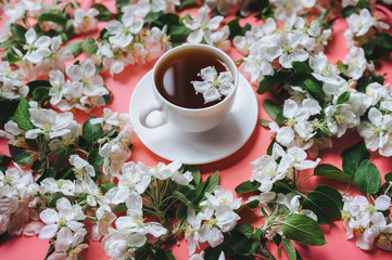 A cup of tea stands on a coral background surrounded by white flowers of an apple tree. The concept of spring tea and medicinal decoctions. Close up.