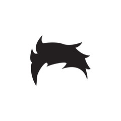 Hair graphic design template vector isolated illustration