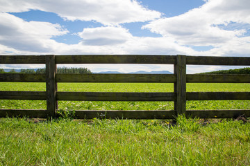 A wooden farm fence divides up grassy farm fields in Canterbury, New Zealand. A blue sky and white clouds spring day