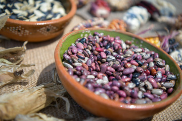 Plato con frijol de diferentes colores