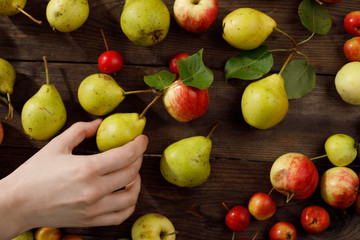 Background from ripe juicy pears and apples for your design.