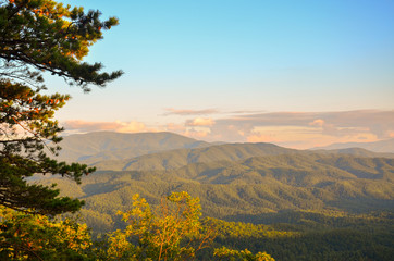 Fototapeta premium Landscape