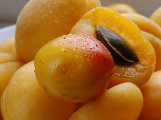 Apricot