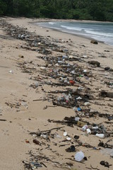 spiled..garbage on the beach  of the big city. Empty used dirty plastic bottles.Dirty sea sandy shore the Black sea. 