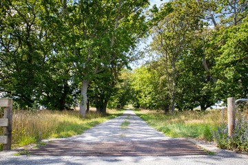 A cattle stop at the entrance to a tree-lined farm driveway prevents livestock from escaping on a farm in Canterbury, New Zealand