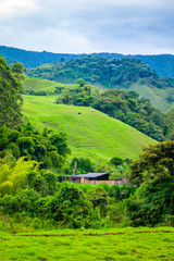 Landscape Surrounded by Mountains, a Small Farm and Cows Grazing