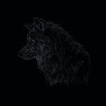 portrait of black dog in scribble art. Wolf in scribble art. With black background for t-shirt screen printings