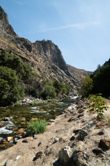 Fototapeta na wymiar Kings River, Sequoia National Park