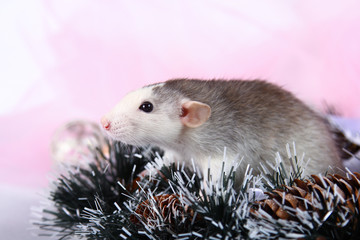 Cute gray rat in New Year's toys on pink backgrond. 2020 year of the rat