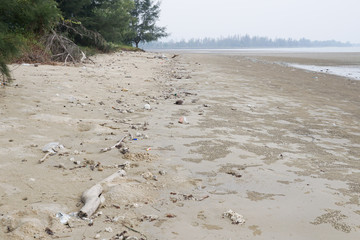 Lok Kawi, Kota Kinabalu, Sabah, Malaysia - September 08, 2019: There is a lot of rubbish left in Lok Kawi Beach. This rubbish are dumped into the sea and washed away to this beach.