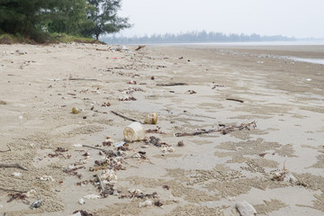 Lok Kawi, Kota Kinabalu, Sabah, Malaysia - September 08, 2019: There is a lot of rubbish left in Lok Kawi Beach. This rubbish are dumped into the sea and washed away to this beach.