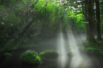 夏の元滝伏流水
