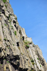 柱状節理の切り立った崖