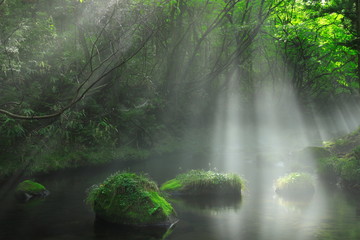 夏の元滝伏流水