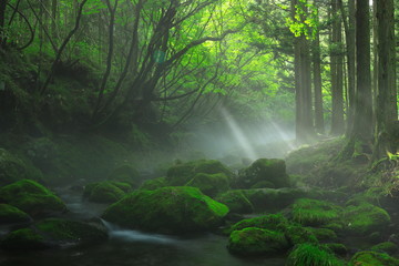 夏の元滝伏流水