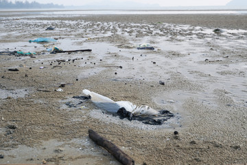 Lok Kawi, Kota Kinabalu, Sabah, Malaysia - September 08, 2019: There is a lot of rubbish left in Lok Kawi Beach. This rubbish are dumped into the sea and washed away to this beach.