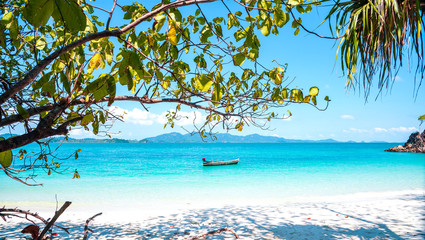 View of the beach with a tree and white sand in Sali Island, Myanmar