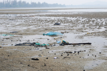 Lok Kawi, Kota Kinabalu, Sabah, Malaysia - September 08, 2019: There is a lot of rubbish left in Lok Kawi Beach. This rubbish are dumped into the sea and washed away to this beach.