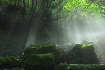夏の元滝伏流水