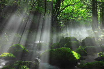 夏の元滝伏流水