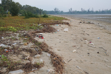 Lok Kawi, Kota Kinabalu, Sabah, Malaysia - September 08, 2019: There is a lot of rubbish left in Lok Kawi Beach. This rubbish are dumped into the sea and washed away to this beach.