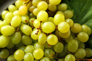 Many ripe sweet grapes, closeup
