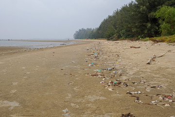 Lok Kawi, Kota Kinabalu, Sabah, Malaysia - September 08, 2019: There is a lot of rubbish left in Lok Kawi Beach. This rubbish are dumped into the sea and washed away to this beach.