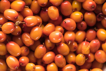 close up view of fresh raw sea buckthorn