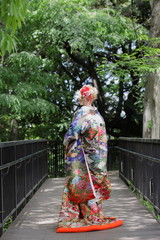 日本の着物、色打掛