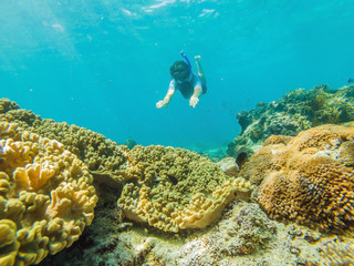 Fototapeta na wymiar Man snorkeling underwater on a reef with soft coral and tropical fish