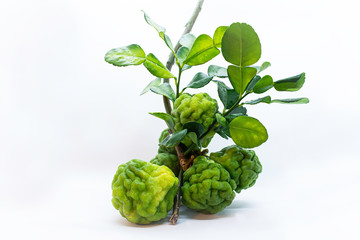 bergamot fruit with leaf isolated on white background.