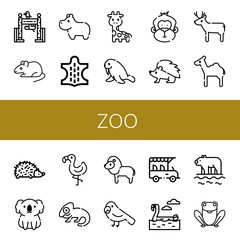 Set of zoo icons such as Zoo, Rat, Hippopotamus, Animal, Giraffe, Walrus, Monkey, Hedgehog, Deer, Camel, Koala, Flamingo, Chameleon, Lion, Parrot, Safari, Polar bear, Frog , zoo