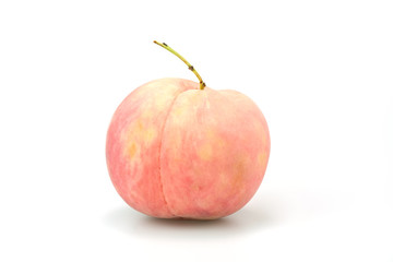 ๋๋Japan White Peach isolate on White Background.