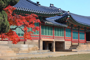 Fototapeta premium Autumn in Deoksugung Palace Seoul South Korea