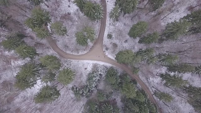 Flying into the winter forest in Switzerland. Drone with birdseye view comming down.