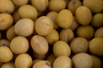 Soybean seeds are placed in the background in the top view.