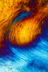 Abstract micrograph of a fish scale from a yellowfin tuna.