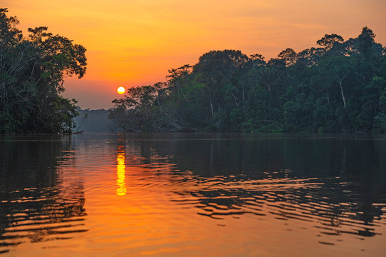 Reflection of a sunset by a lagoon inside the Amazon Rainforest Basin. The Amazon river basin comprises the countries of Brazil, Bolivia, Colombia, Ecuador, Guyana, Suriname, Peru and Venezuela. 