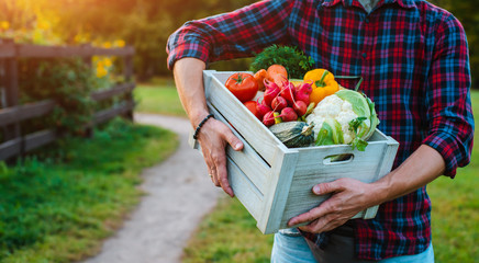 wooden box with fresh farm vegetables close up in men's hands outdoors.